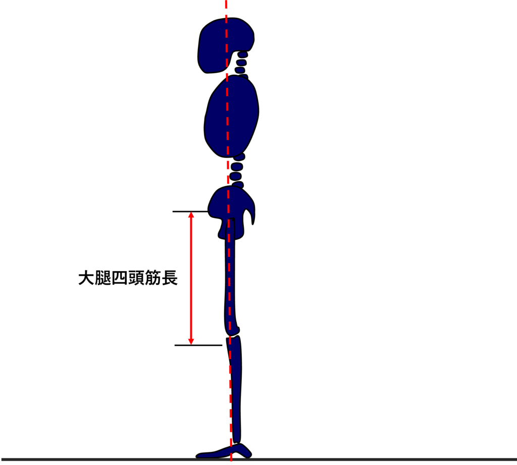 理想的な立位姿勢